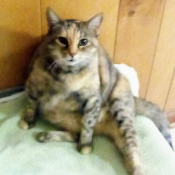 Meet your Posher, Michelle - Picture 7 of 16